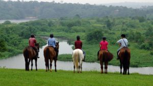 Horse Riding in Jinja